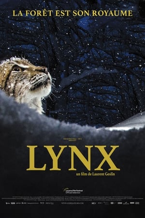 Lynx poszter