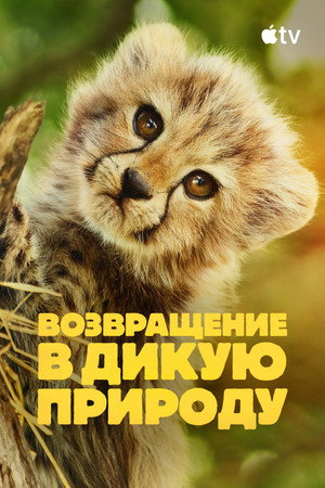 Born to Be Wild poszter