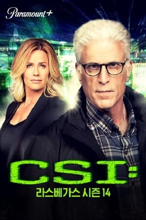 CSI: A helyszínelők poszter