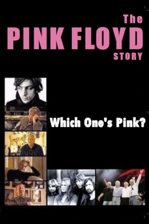 The Pink Floyd Story: Which One's Pink? poszter