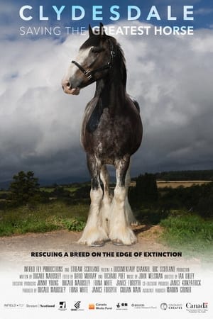 Clydesdale: Saving the Greatest Horse poszter