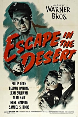 Escape in the Desert poszter