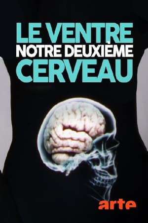 Le ventre, notre deuxième cerveau