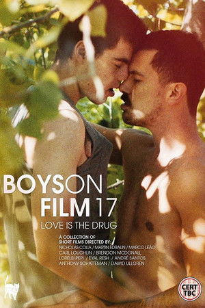 Boys On Film 17: Love Is the Drug poszter