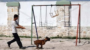Lake Tahoe háttérkép