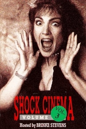 Shock Cinema: Volume Three poszter