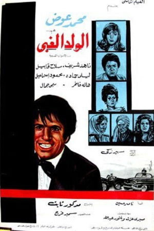 الولد الغبي poszter