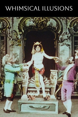 Les illusions fantaisistes poszter