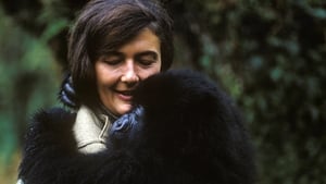 Dian Fossey: Secrets in the Mist kép