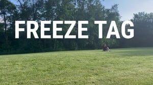 Freeze Tag háttérkép