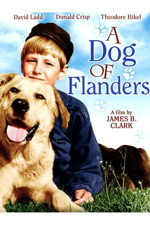 A Dog of Flanders poszter