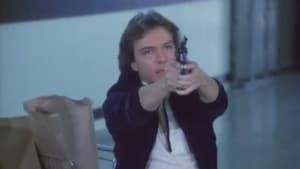 David Cassidy: Man Under Cover Season 1 Ep.1 1. epizód