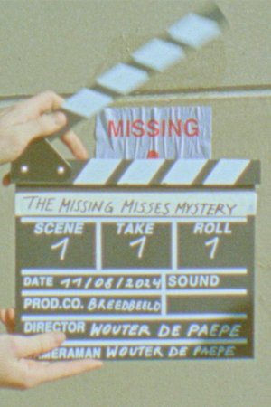 The Missing Misses Mystery poszter