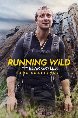 Bear Grylls - Sztárok a vadonban: A kihívás