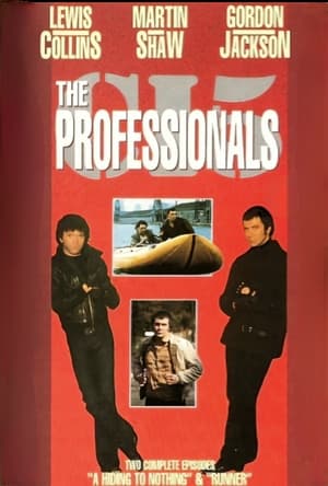 The Professionals poszter