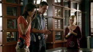 Hawaii Five-0 1. évad Ep.13 Új kezdet