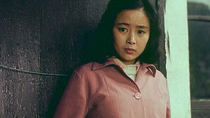 清水湾，淡水湾 háttérkép
