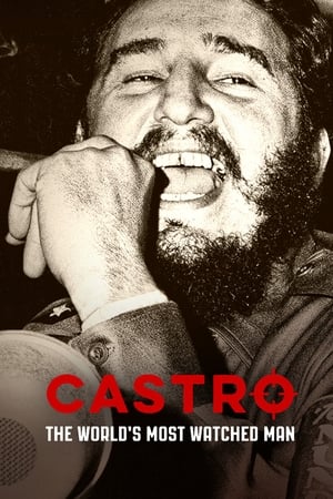 Fidel Castro en la Mira poszter