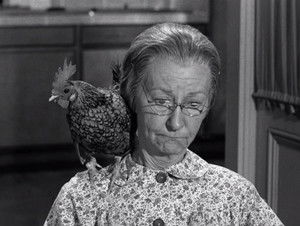 The Beverly Hillbillies Season 1 Ep.31 31. epizód