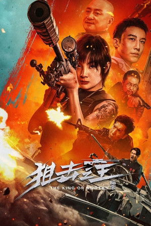 狙擊之王：暗殺 poszter