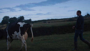 Un été à la ferme - L'âge d'or háttérkép