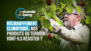 Le monde de Jamy 1. évad Ep.36 36. epizód