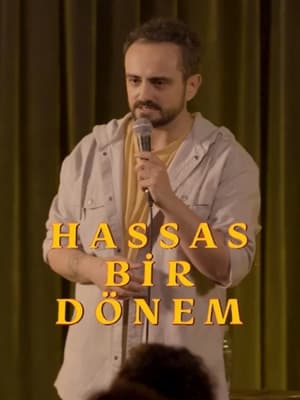 Hassas Bir Dönem - İsmail Türküsev poszter