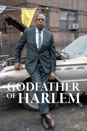 Godfather of Harlem poszter