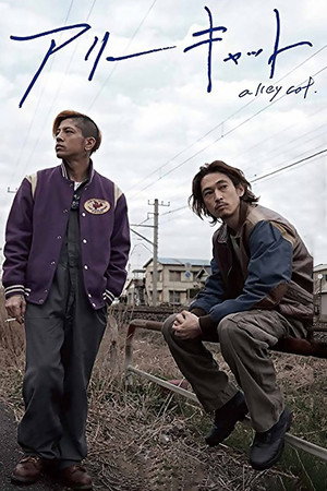 アリーキャット poszter