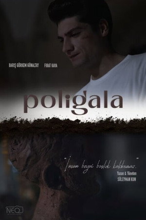 Poligala poszter