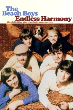 The Beach Boys: Endless Harmony poszter