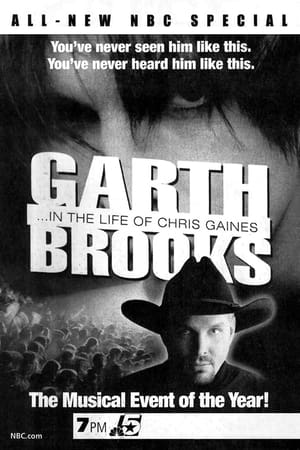 Behind the Life of Chris Gaines poszter