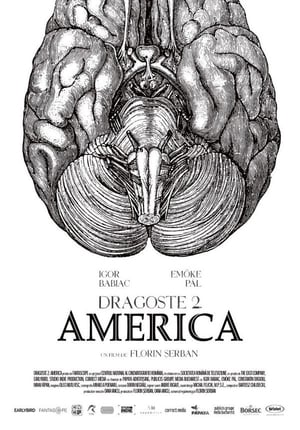 Dragoste 2. America