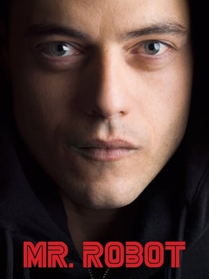 Mr. Robot poszter