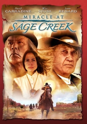 Csoda Sage Creek-ben