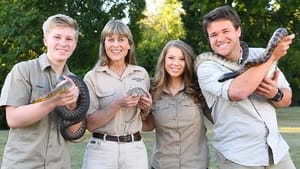 Ausztrál állatkert - Steve Irwin öröksége kép