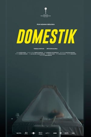 Domestik poszter