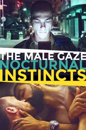 The Male Gaze: Nocturnal Instincts poszter