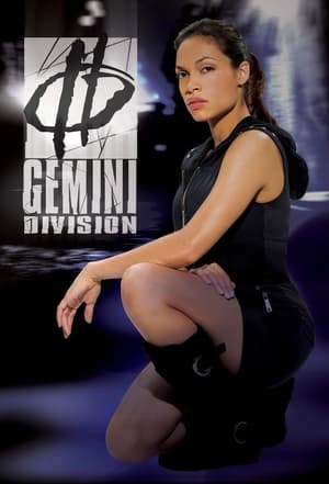 Gemini Division