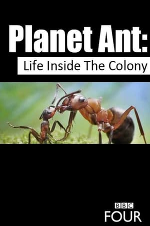 Planet Ant: Life Inside The Colony poszter