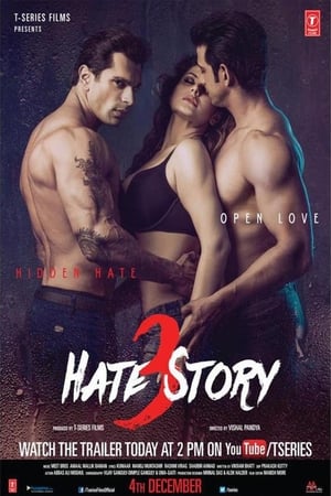 Hate Story 3 poszter