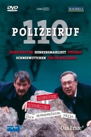 Polizeiruf 110 poszter