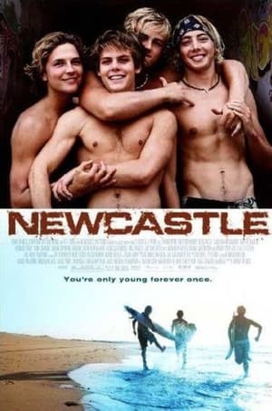 Newcastle poszter