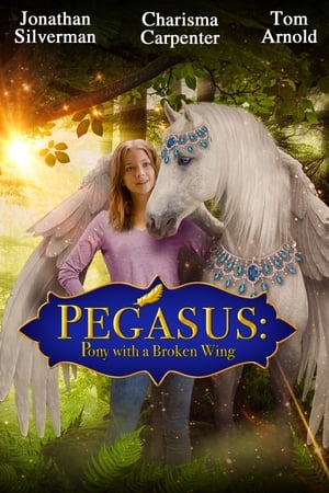 Pegasus: Pony With a Broken Wing poszter