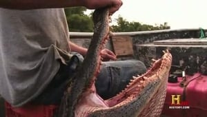 Swamp People 1. évad Ep.9 9. epizód