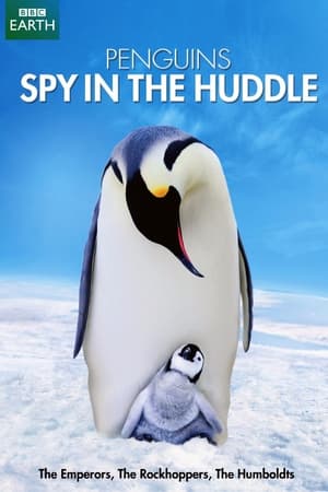 Penguins: Spy in the Huddle poszter