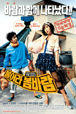 불어라 봄바람 poszter