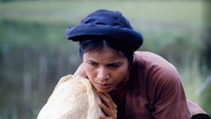 Mê Thảo - thời vang bóng háttérkép