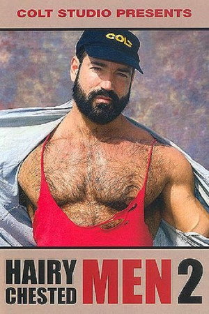 Minute Man Solo 15: Hairy Chested Men poszter