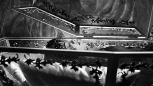 Snow White and the Seven Dwarfs háttérkép